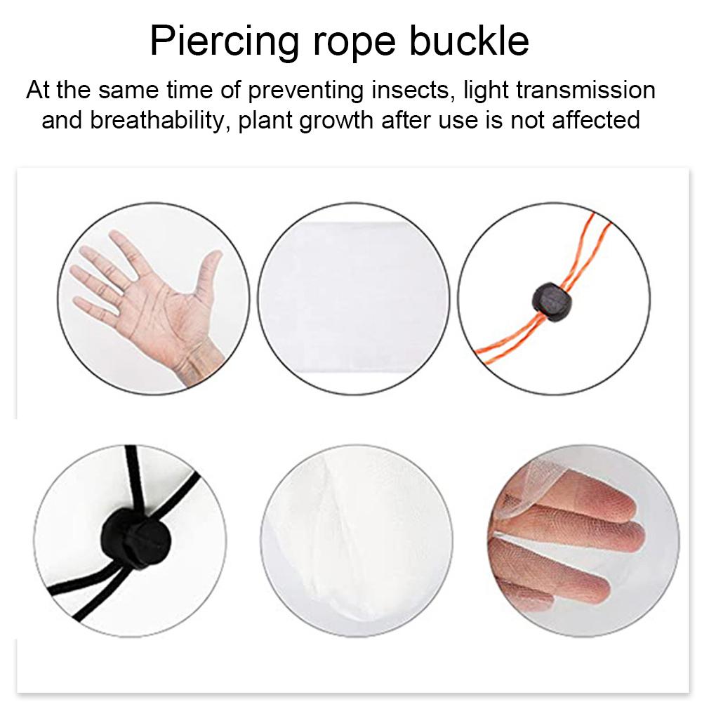 Garden Netting For Veg Patch – Protect Garden With Fine Mesh Netting Garden Netting For Veg Patch Fine Mesh Durable