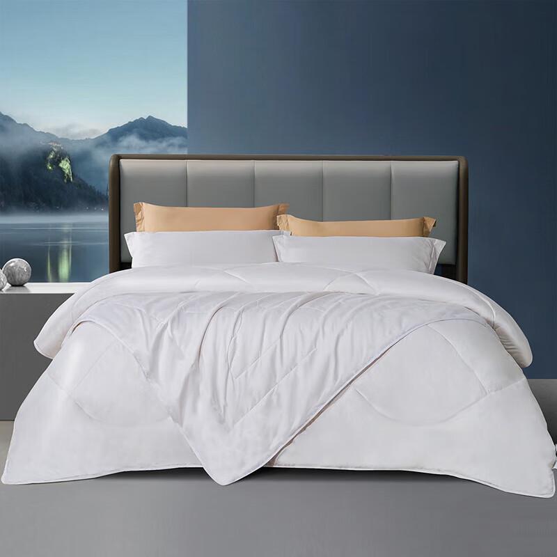 

FUANNA Core Comfort Tussah Silk Wool Blend Summer Quilt