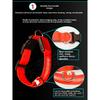 Dog Collar Nylon LED Night Safety Flashing Glow In The Dark Pet Dog Leash Pet Dogs Luminous Fluorescent Dog Accessories Collar