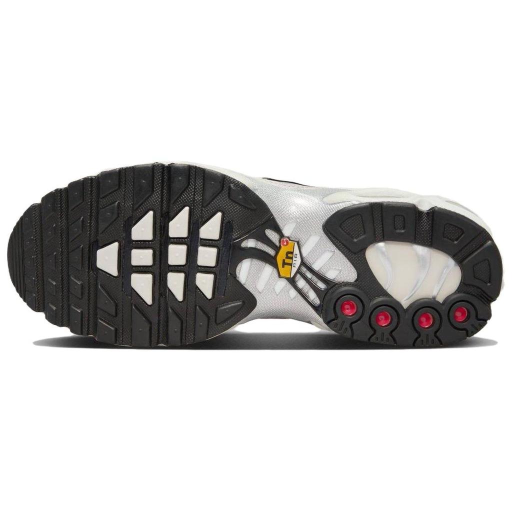 Nike Air Max Plus Platinum Violet FV8480-001