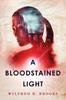 The A Bloodstained Light : A Fantasy Mystery Book