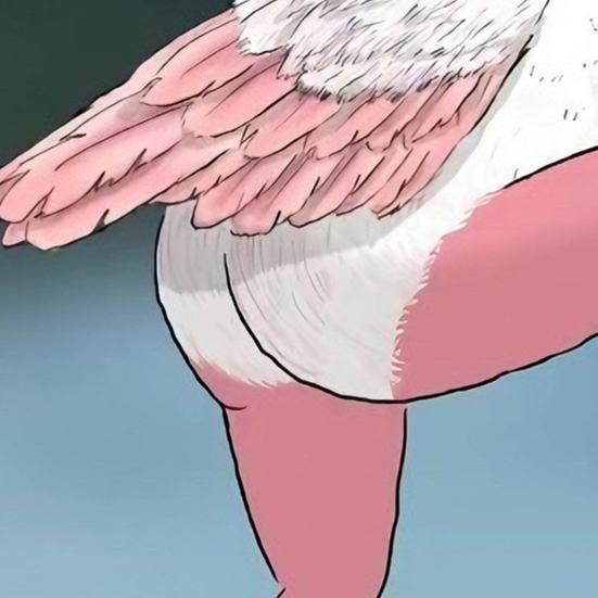 Calendar de perete 2026 Păsări amuzante Calendar de perete de agățat ian.. până în Dec.2026 Planificator de 12 luni Cadou amuzant de Crăciun Cadou Elefant Alb pentru adulți