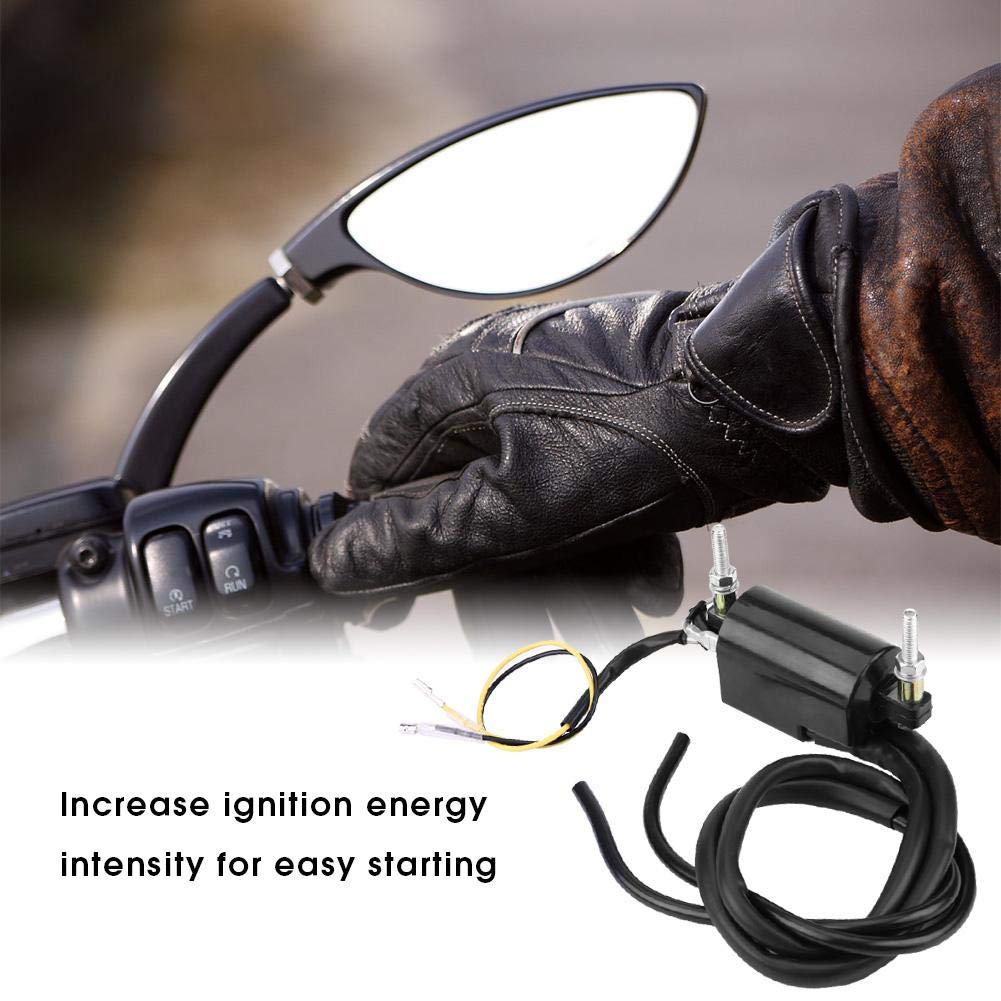 Ignition Coil Dual-Qiilu Plastic Ignition Coil Dual Wire Output Honda CB160 CB350 CB400 CB650 CB1000 KAWASAKI YFM350