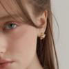 Twinkle Star Earrings EC3048