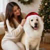 Pet Novelty Christmas Hat, Holiday Headwear for Dogs and Cats