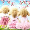 Dog Pet Suspender Skirt Cat Clothes Vest Striped Cat Mesh Dog Supplies Spring Summer Teddy Pomeranian