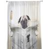 Funny Newspaper Dog Window Treatment Tulle Modern Sheer Curtains for Kitchen Living Room the Bedroom Curtains Decoration