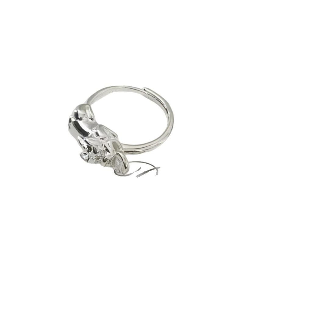 Ethnic Style Pixiu Coin Ring for Men and Women: Fashionable Silver Wealth and Luck Opener.