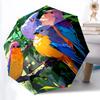 1pc Birds Nature Auto Folding Umbrella, Sturdy And Durable Automatic Folding Umbrella with 8 Ribs, Convenient for Outdoor Use004