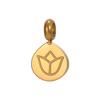 CARLIDANA Fruit Gold Plated Pineapple Avocado Strawberry Grape Pendant Stainless Steel Charms Accessories DIY Jewelry for Women