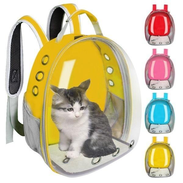 cat bolsa bubble