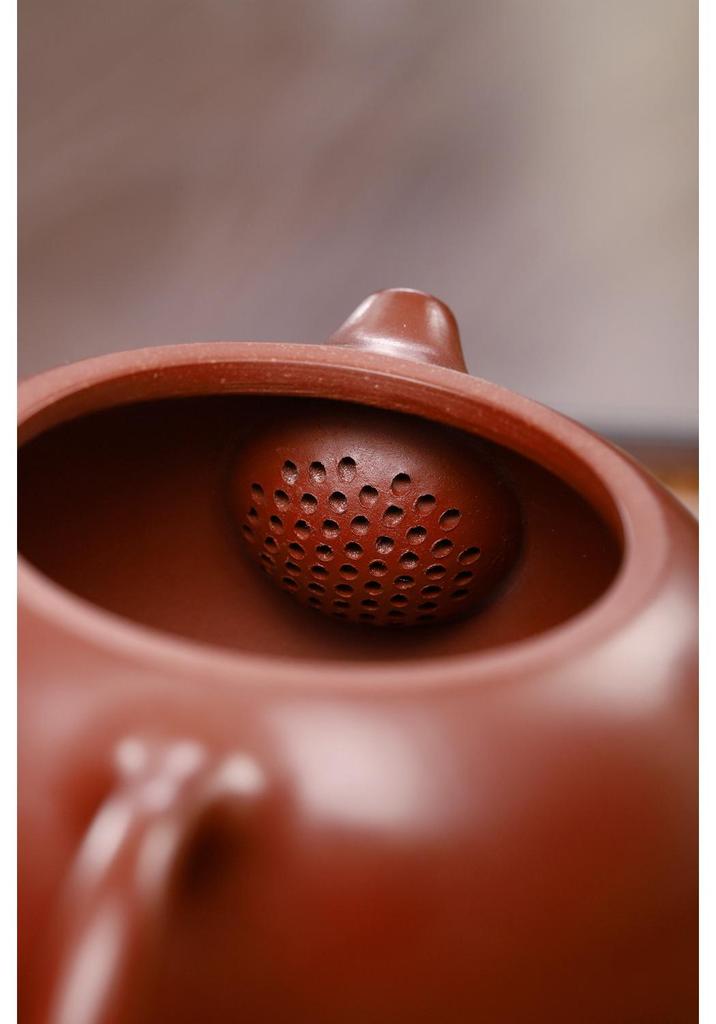 Handmade Xi Shi Teapot by Artist Wang Guowang - Da Hong Pao Zisha Clay