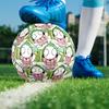 Sarah & Duck Theme Size 5 Soccer Ball, Suitable for Both Indoor and Outdoor Matches, a Gift Suitable for Everyone.