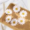 6PCS Sunflower Hairpin for Female Bright Color Daily Flower Hair Clip Barrettes Sidebangs Clip for Women Girl Hairstyle
