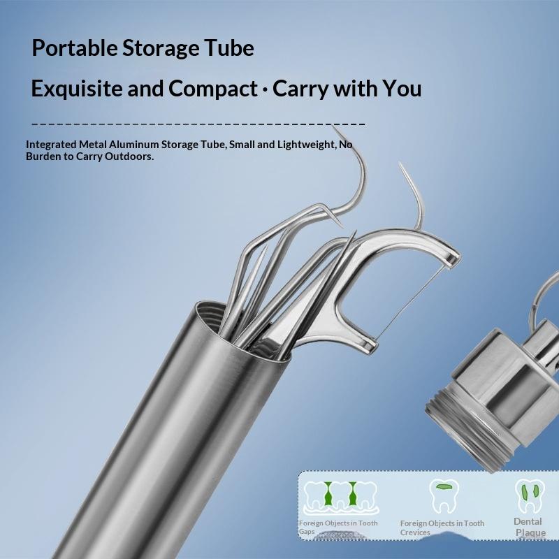 Stainless Steel Toothpick Set Portable Reusable Tooth Cleaner Kit with Travel Case for Everyday Oral Hygiene