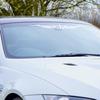 LEDMOMO Car Sticker Tribal Pattern White 70 x 8.39cm Windshield