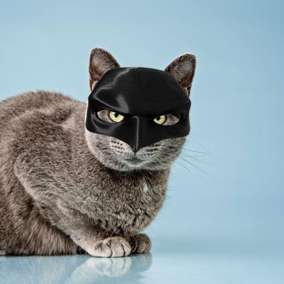 Cat Face Cushion Bat Cosplay Hat Spooky Halloween Atmosphere Prop Plastic Black Make-up Half Face Cushion for Party