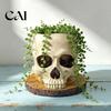 Unique Niche Decoration Halloween Retro Skull Planter, Spooky Gothic Human Head Flower Pot, Atmosphere Prop Skeleton Candy Bowl for Tabletop Home Bar
