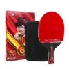 Rachetă de Tenis de Masă DHS Hurricane 8 Stele Stil Penhold