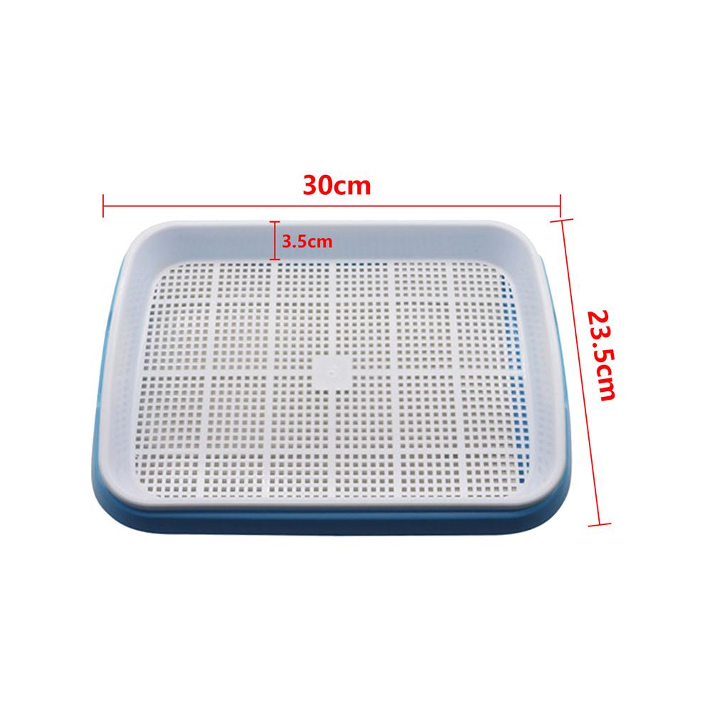 Double Layer Seedling Tray Plastic Seed Starter Sprout Vegetable Seedling Container Soilless Cultivation Gardening Planting Tool