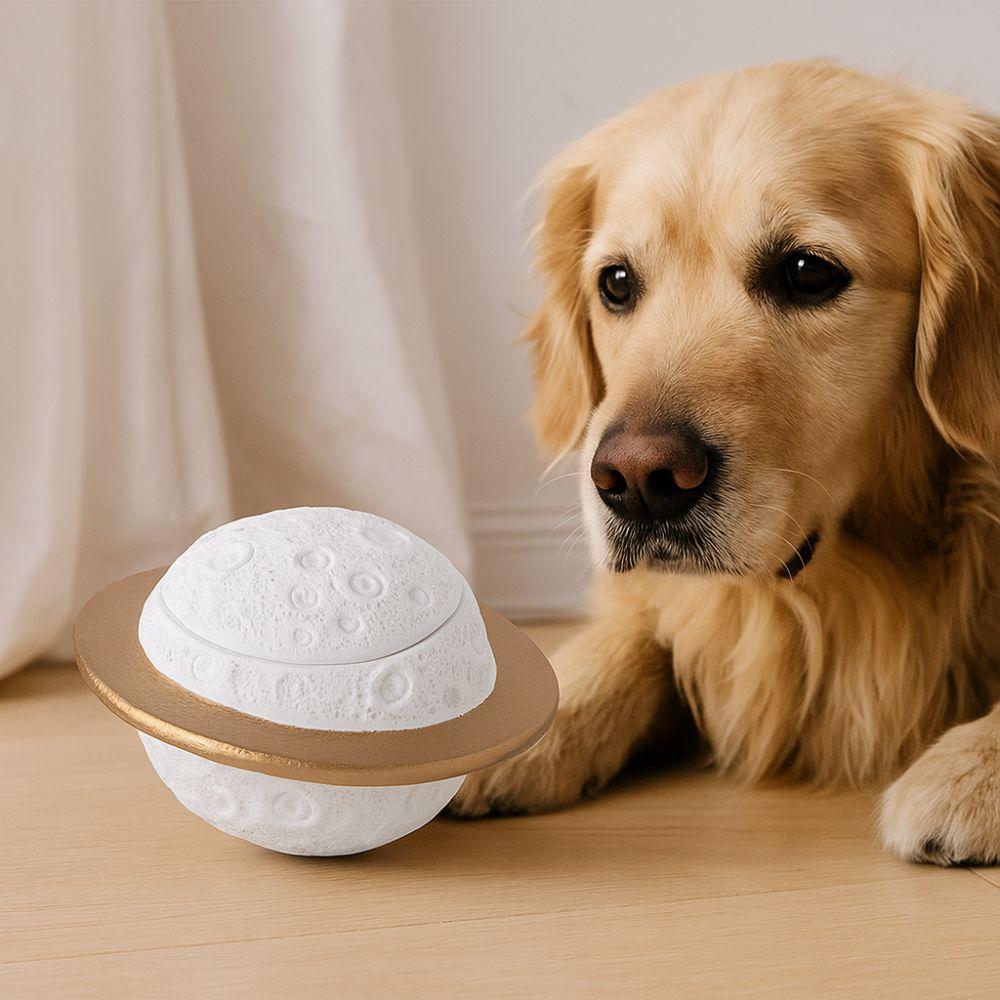 Moisture-Proof Pet Urn Removable Lid Pet Ash Holder Pet Hair Collection Box  for Cats Dogs Hamster