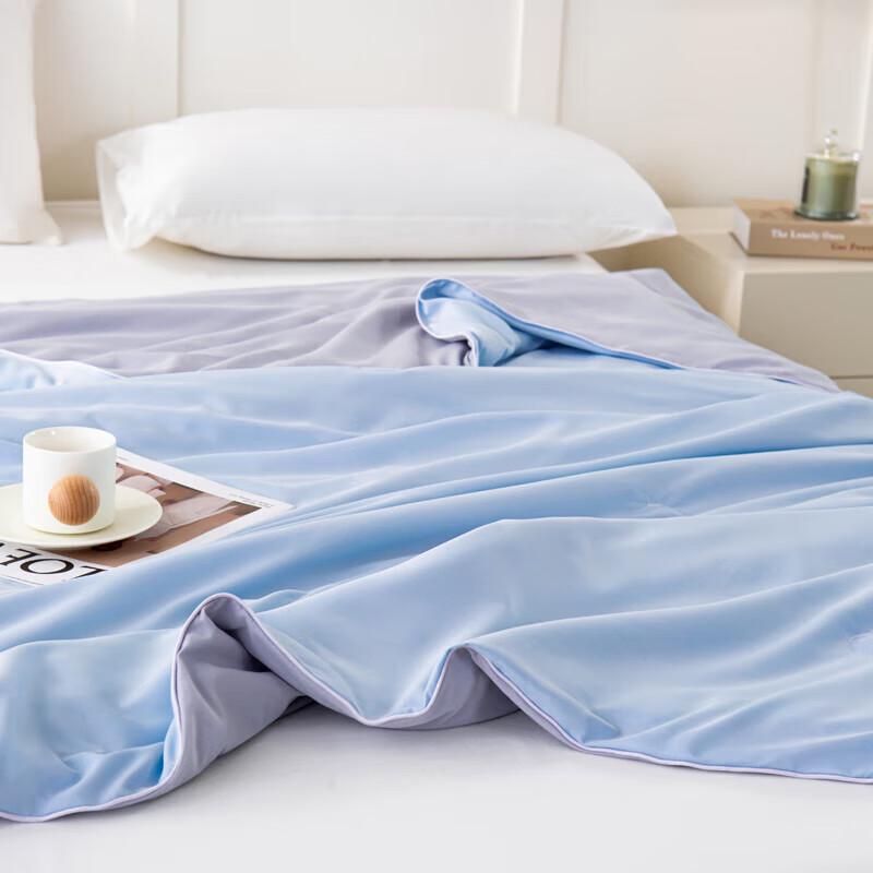 PAUI DAVID Aivi Bentley Blue All-Season Comfort Quilt