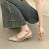 Beautiful Stiletto High Heels Pointed Toe Bag Head Sandals Women's Summer Skirt Single Shoes New Shoes