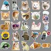 50-Pack Popular Cat Emoji Graffiti Stickers for Skateboards, Water Bottles, and Luggage