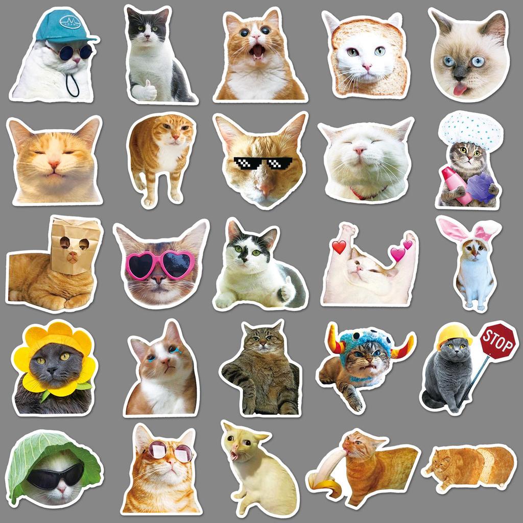 50-Pack Popular Cat Emoji Graffiti Stickers for Skateboards, Water Bottles, and Luggage