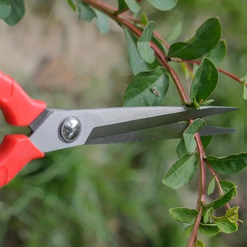 1PC Extra Long Garden Scissor, Stainless Steel Pruning Shears, Bonsai Plant Trimming Scissors for Thorny Roses Plant Flowers Harvesting Herbs Fruits