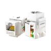 Ugreen Plugues Modulares RJ45 Cat5e