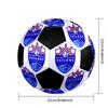 SIZE 5 Lion City Sailors Football Club Soccer Ball Colorful All Ages Machine Stitched PVC Competition Ready Durable High-Bounce