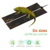 EU/US 5W/7W/14W/20W/28W/35W/45W Reptiles Heat Mat Adjustable Temperature Controller for Terrarium Climbing Pet Heating Warm Pads