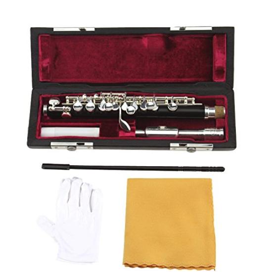 

[Hilax] Пикколо для начинающих (Серебряное тело)