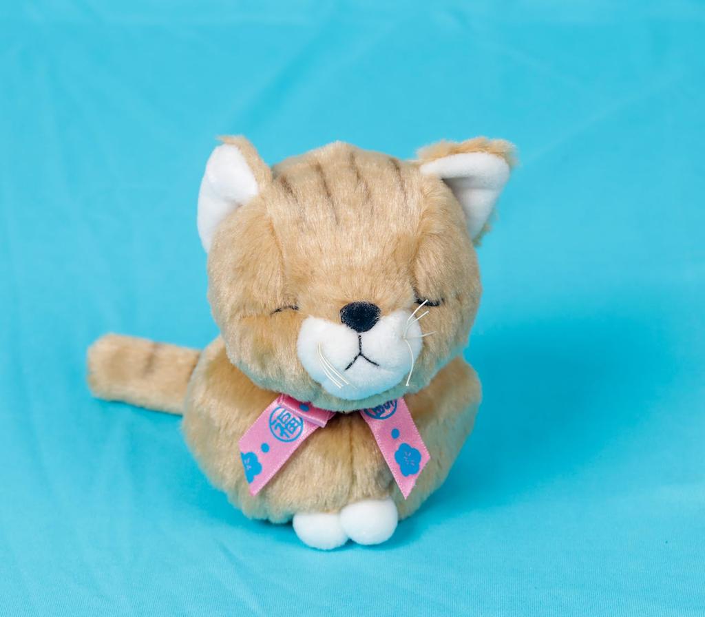Shinada Fukurai Cat M Set of 3 Plush Toys 12cm Lucky Charm Meditating Cat Silky Fur