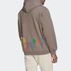 Adidas Sean Wotherspoon Superturf Hoodie Simple Brown Herren Streetwear HI3302