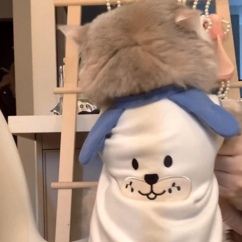 Cat Anti-shedding Dog Clothes Bichon Pet Vest Thin Summer Day Teddy Pomeranian Small Dog Summer