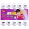 DHS Competition Top 1-Star Table Tennis Balls