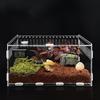 Insect Breeding Case Reptiles Clear Feeding Box Good Ventilation Acrylic Habitat for Centipedes Spiders Snake 6XDE