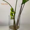 Plant Support Buddy Cuttings Plant Propagation Station Indoor Garden Human Shape Plant Stand Plant Lover Gifts for Sprouts Stems
