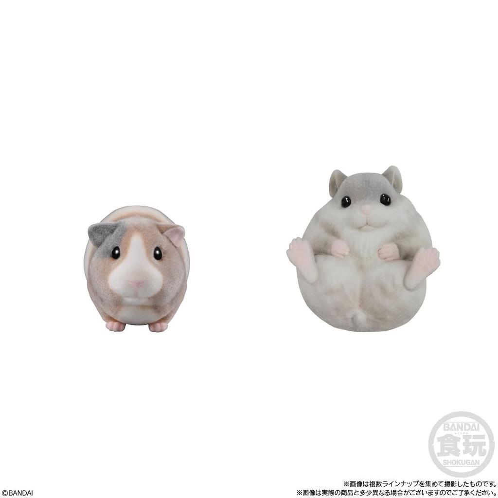 Bandai Friends 2 Candy Gum MofumofuTenori -Small Animals- (12 Pieces) Toys/Chewing (Tenori Friends)