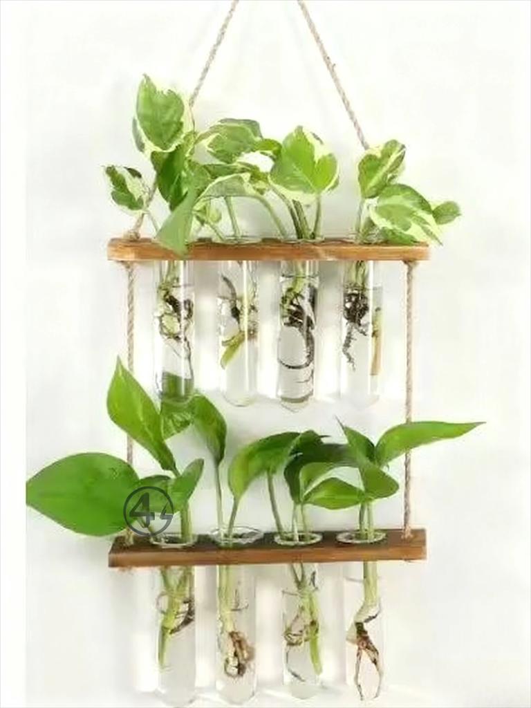 Creative Hydroponic Plant Wall Hanging Glass Vase Garden Wall Decor Flower Arrangement  Home Decoration Party Gift Vase