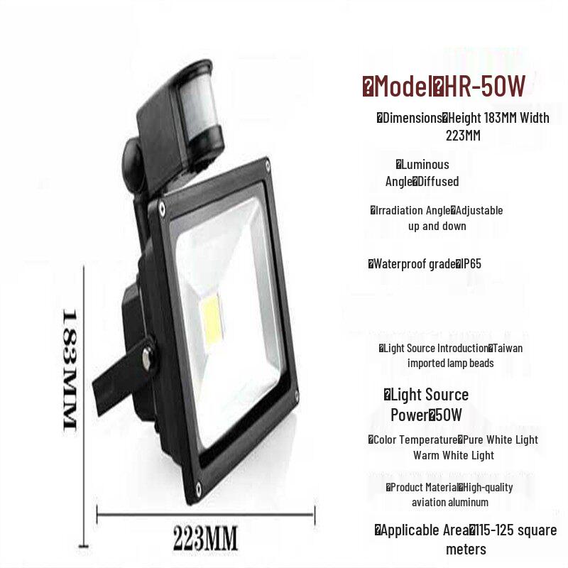 Rongyu 50W Motion Sensor Waterproof Outdoor Light