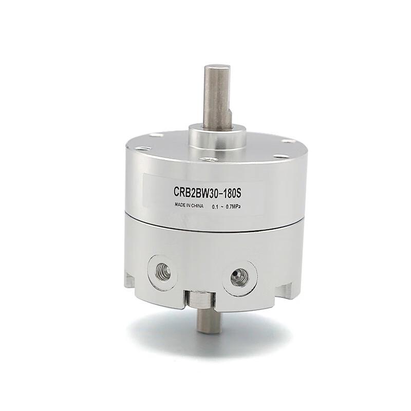 XINGGUAN Vane Type Rotary Cylinder