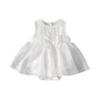 Koreanischer Stil Kleinkind Blumenmädchen Spitze Prinzessinnenkleid für Einjährige