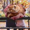 Rabbit and Flowers pattern, automatic folding umbrella, portable and foldable design, 8 ribs, a Christmas or birthday gift.