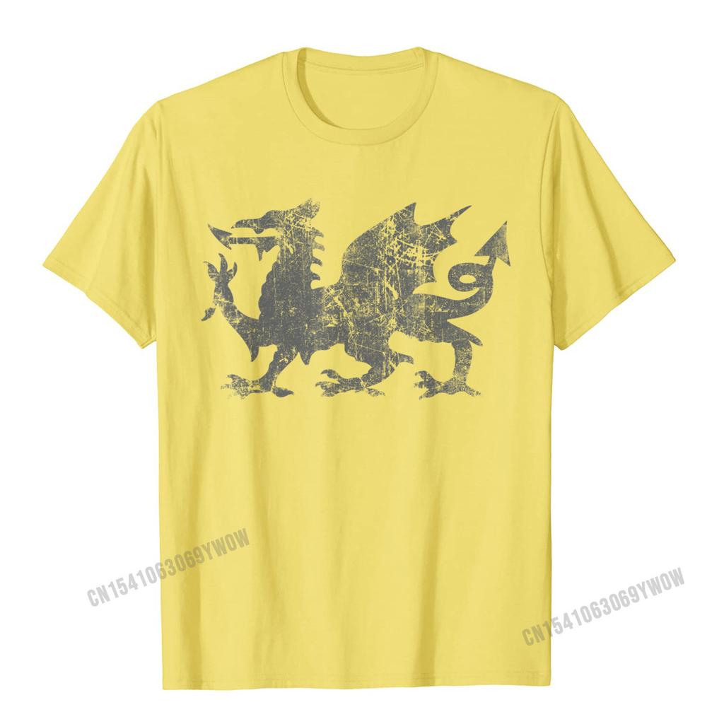 Welsh Flag Heraldry Dragon Welsh Soccer St Davids Day Wales TShirt Camisas Unisex 3D Printed Top TShirts For Adult Tops Tees