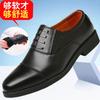Pantofi