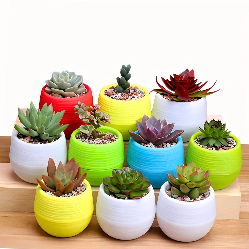 9pcs Plastic Succulent Plant Flowerpot Mixing Colors DIY Garden Office Home Balcony Desktop Decoration YMY