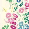 Miyamoto Kenema Made in Japan Tenugui Hand 35 x Summer Flower Morning Glory Cat 50154 Miyamoto-Towel Chū-sen (Tenugui Towel), 90cm, Garden, Design,